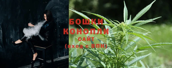 бутират Богданович