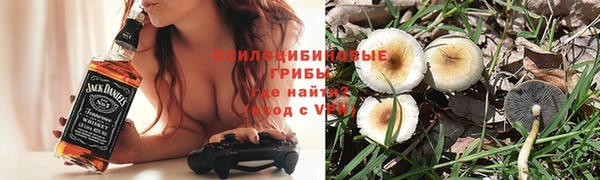 Альфа ПВП Богородицк